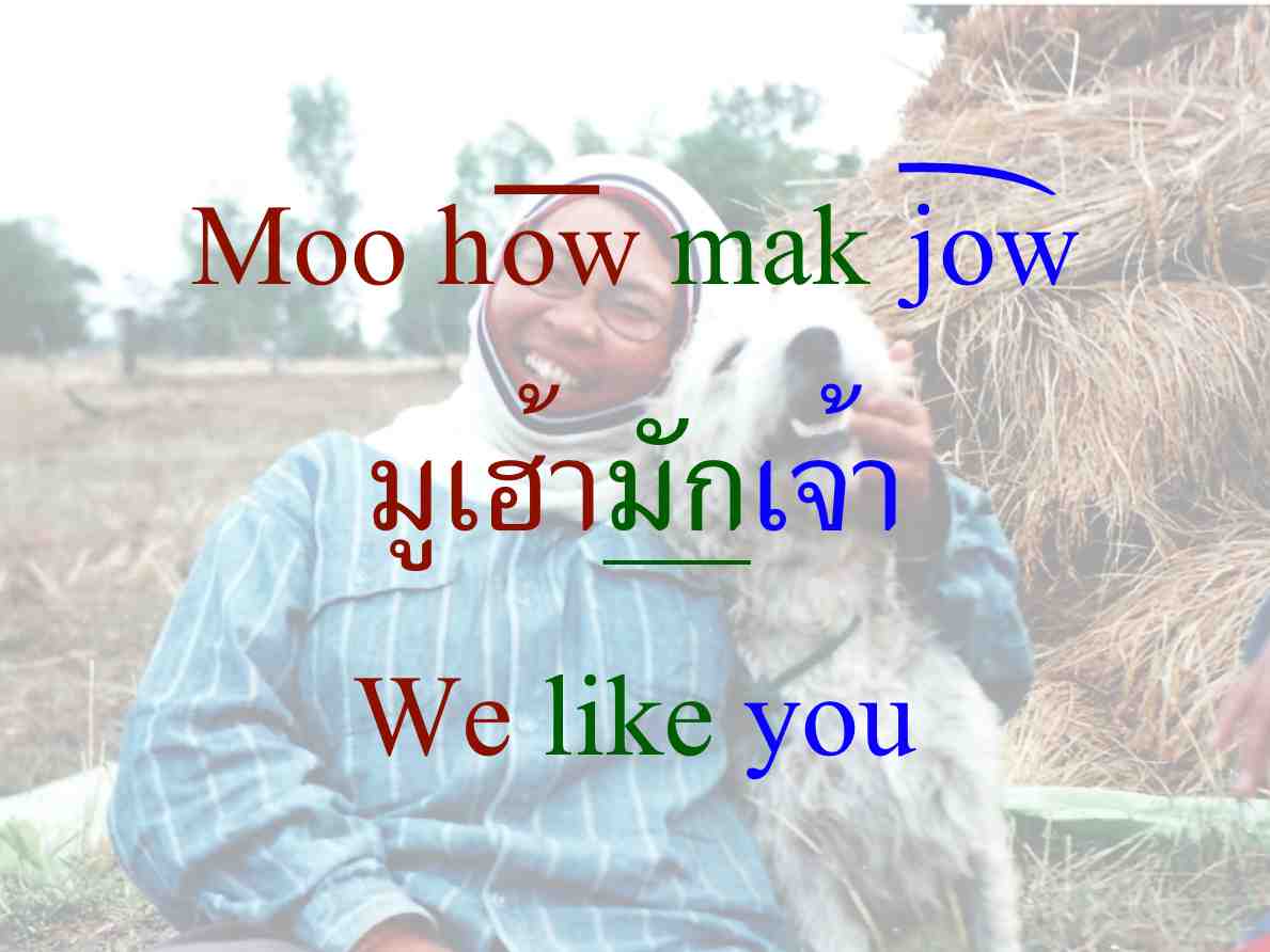 Isaan Thai Lady with Dog Says We Like You