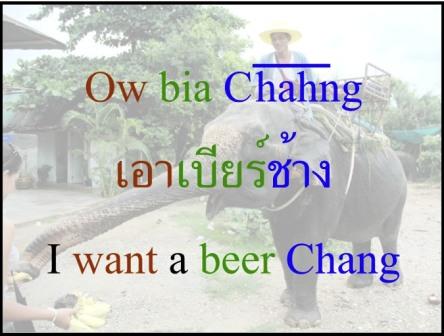 Thai Elephant Says I Want a Beer Chang